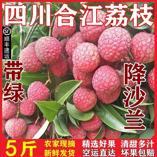 荔枝水果特优惠合江荔枝现摘新鲜