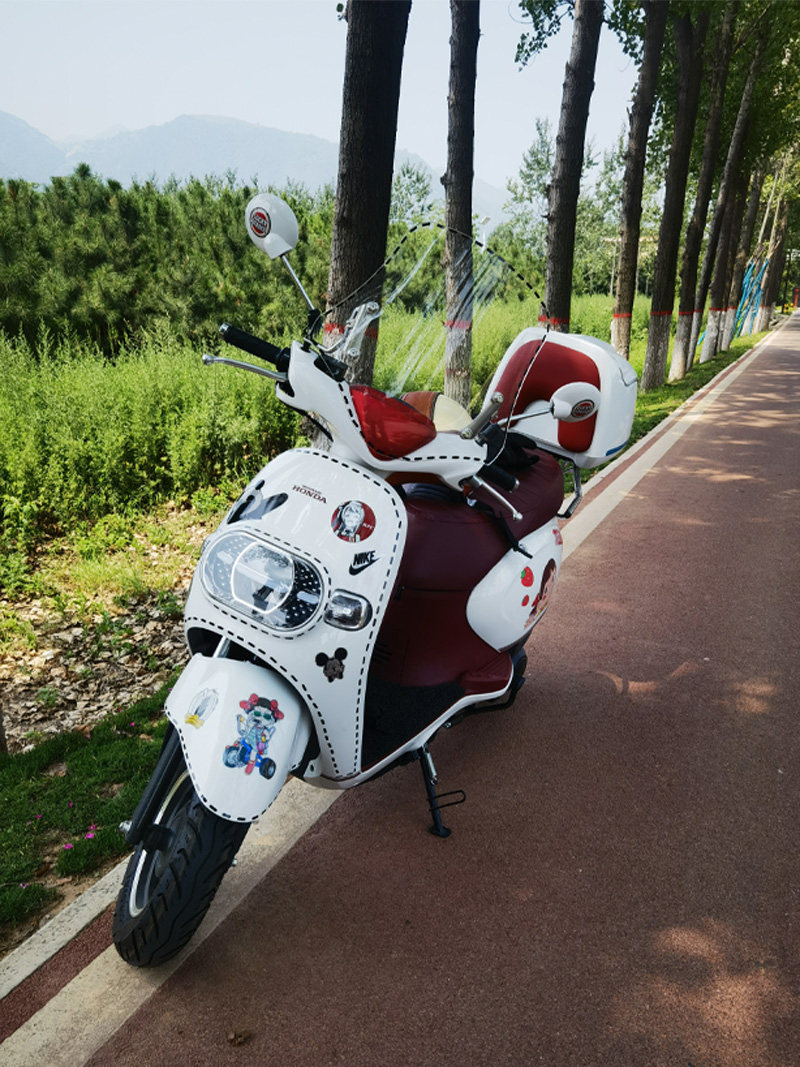 适用五羊塔帕摩托车尾箱wh100t-2c/5后备箱尾架支架货架改装配件