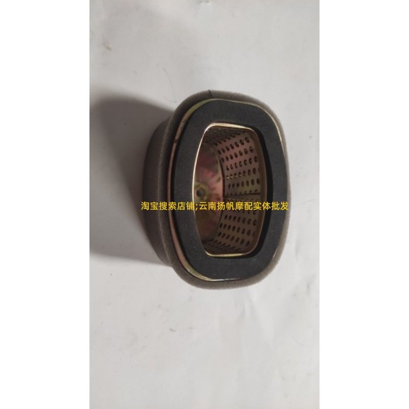 豪爵铃木踏板摩托车新海王星红宝天玉灵迪天龙星空气滤芯空滤器
