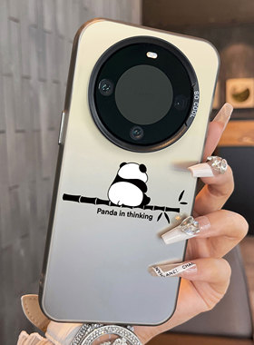 适用于realme真我GT5Pro手机壳熊猫背影彩银新品男女款全包12proplus防摔高级感保护套磨砂简约真我11+