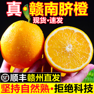 江西正宗赣南脐橙当季新鲜手剥甜橙子孕妇水果赣州直发顺丰包邮10