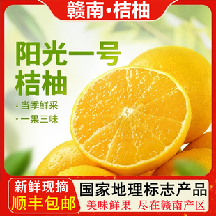 【顺丰包邮】正宗赣南桔柚新鲜现摘会昌特产纯甜无酸橘柚自家果园