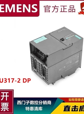 6ES7317-2AJ10-0AB0 CPU317-2DP西门子S7-300中央处理器 PLC模块
