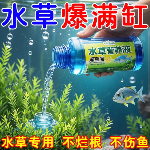 水草营养液增绿防黄叶鱼虾安全