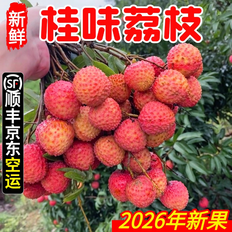 灵山桂味荔枝新鲜广西水果当季整箱老树纯甜核小孕妇顺丰包邮
