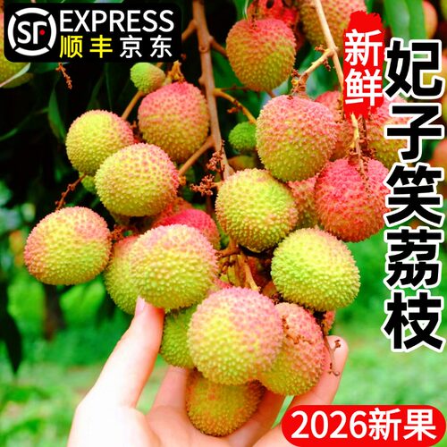 【首单直降】妃子笑荔枝现货顺丰