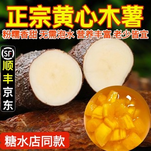 黄心木薯新鲜广西特产农家当季现挖黄肉面包木署板栗红薯糖水店