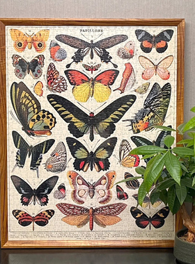 Cavallini植物花卉蝴蝶拼图框1000片500片架裱框70*55*35画框相框