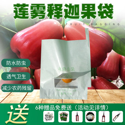 莲雾套袋樱桃桃枇杷水果套袋果袋