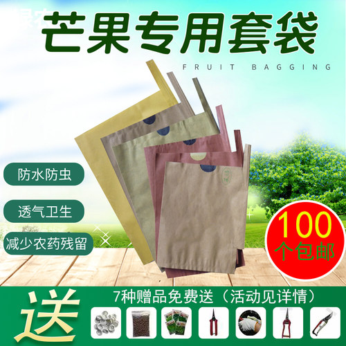 金煌芒果莲雾释迦枇杷水果套袋子