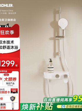科勒花洒套装淋浴器家用挂墙式混水阀冷热水龙头浴缸花洒36522T