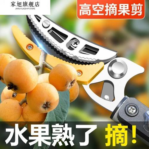 德国品质摘水果神器伸缩杆高枝剪摘荔枝柿子枇杷龙眼摘果器高空剪
