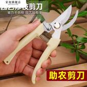 果树剪刀修枝神器摘果剪树剪花卉枝剪刀绿化嫁接园林园艺家用修剪