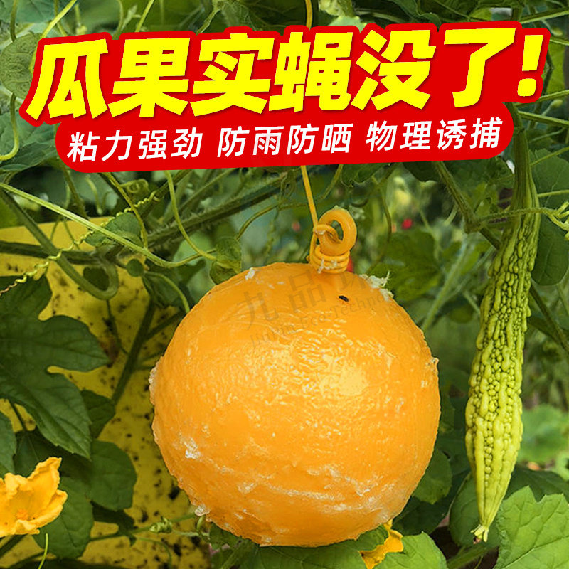 空消 诱蝇球瓜果实蝇粘虫球捕柑橘大实蝇杀桔小实蝇灭粘小飞虫