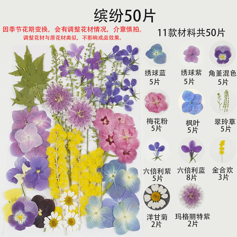 春日来信干花标本材料儿童手工diy彩妆压花拍照摄影花材包缤纷