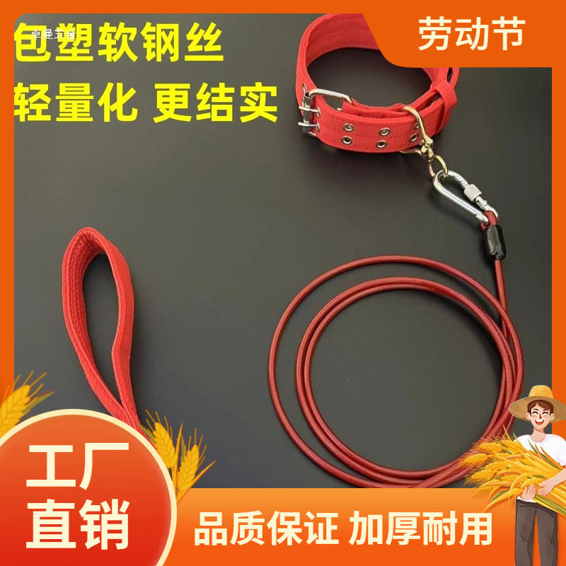 狗链子防咬狗狗牵引绳加长防锈拴狗链子项圈狗铁链中大小型犬遛曼