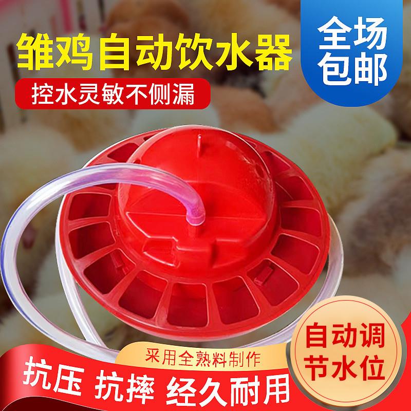 小鸡饮水器鸽子鸭鹅自动喂水器鹌鹑补水器配件雏鸡饮水壶养鸡设备