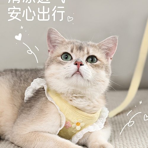 猫咪牵引绳防挣脱外出猫猫溜猫不勒脖小猫幼猫胸背带遛猫绳子