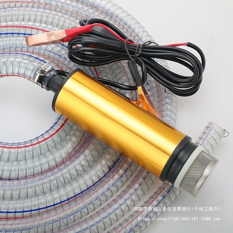电动抽油泵12V直流柴油加油机24v潜水泵油抽子加油枪220v自吸油泵