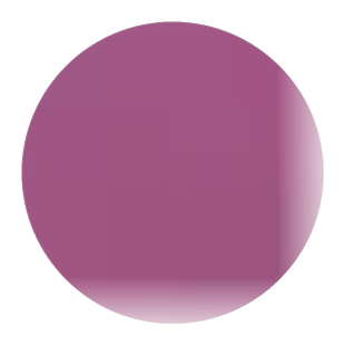 美国红提苗无籽红提子苗葡萄苗 红提葡萄树苗 盆栽地栽 当年结果