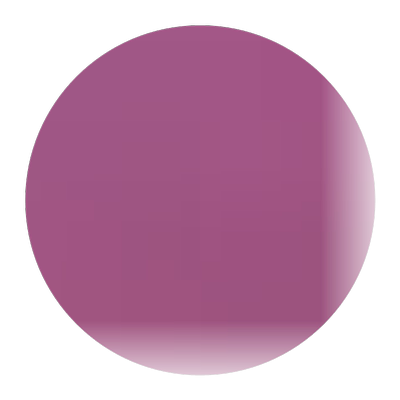 树苗美国红提无籽葡萄盆栽地栽