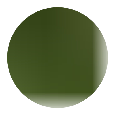 嫁接枣树苗延安狗头盆栽地栽高产