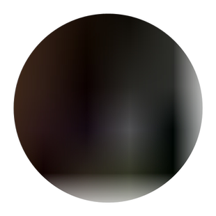 日本甜脆柿子树苗盆景矮化果树老桩盆栽地栽柿子苗南北方种植带果