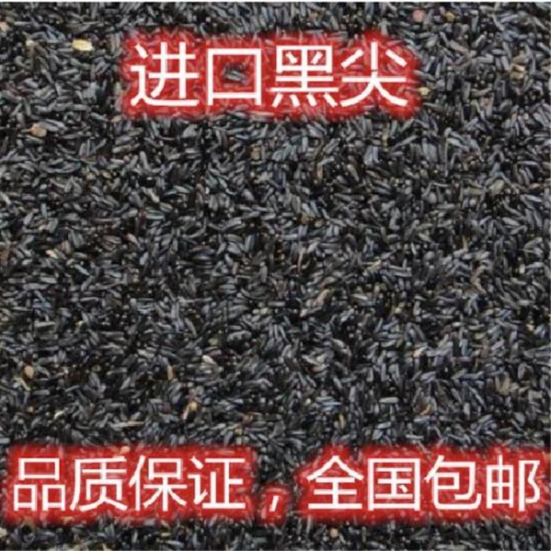 黑尖粟尼日尔草籽金丝雀鸟粮饲料提性进口现货500克黑尖1斤