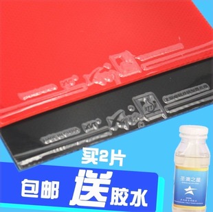 正品郗恩庭套胶乒乓球训练对套 反胶皮普及套球馆训练班 专业套胶