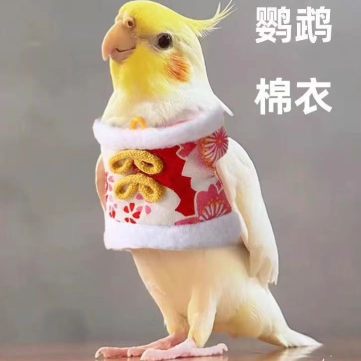 鹦鹉衣服A玄凤牡丹虎皮中小型宠物鸟保暖过冬新年装定制喜庆飞行