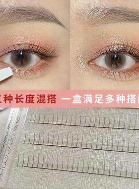 Dark Swan睫毛 Mist丝雾单根款下睫毛嫁接假睫毛自然仿真超纤睫毛