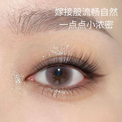Dark Swan 睫毛 04款 浓密嫁接睫毛女自然仿真单簇假睫毛