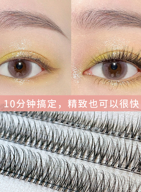 Dark Swan睫毛02款 嫁接睫毛女自然仿真单簇假睫毛重复使用