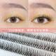 Dark Swan睫毛02款 嫁接睫毛女自然仿真单簇假睫毛重复使用
