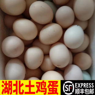 湖北新鲜土鸡蛋农家散养笨鸡蛋农村放养走地鸡蛋宝宝蛋月子蛋顺丰