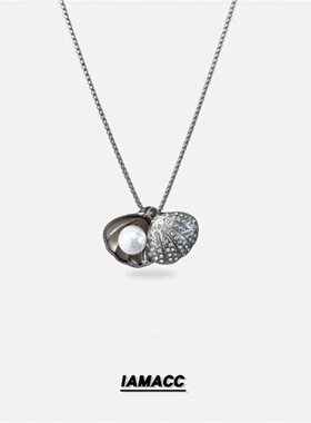 情侣款高级新款吊坠锁骨链卫衣链