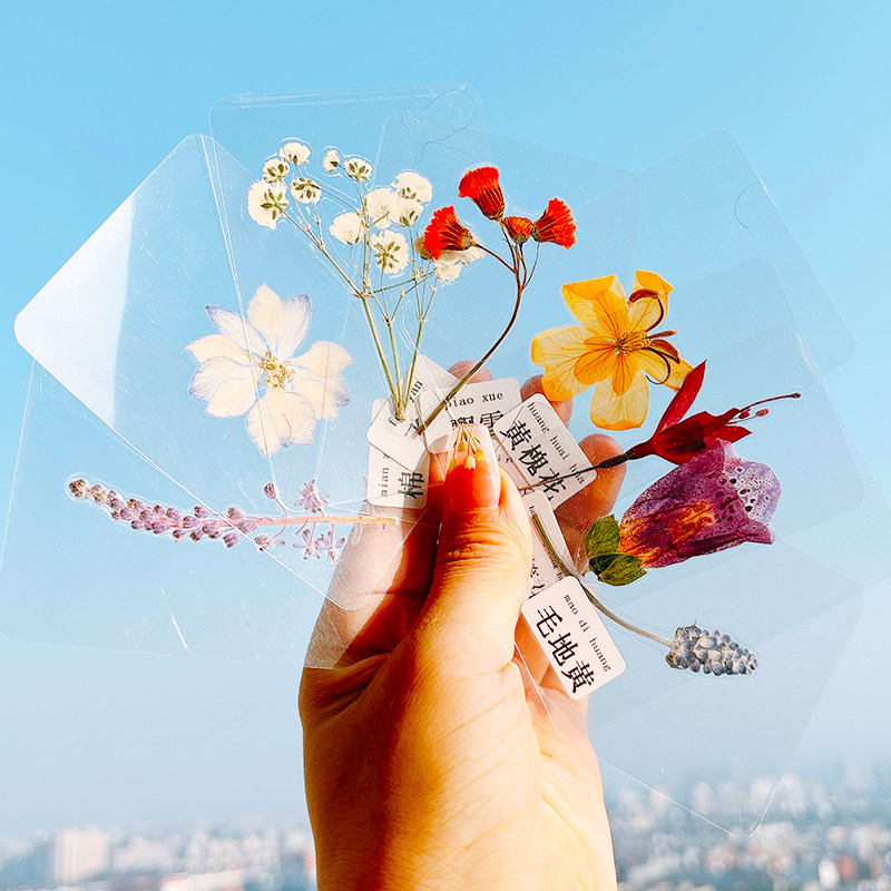 塑封真树叶花朵标本天然花叶学生礼物成品手工装饰植物标本集卡册