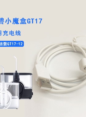 洁碧冲牙器GT17小魔盒磁吸感应充电线器USB电源适配器220V