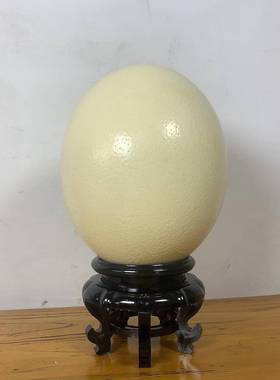精选好品天然大号鸵鸟蛋空壳工艺品雕刻绘画 DIY原材料空蛋壳摆件