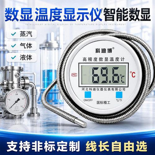 防水数显温度计带探头温度表耐酸碱工业热水测量仪水产养殖测水温