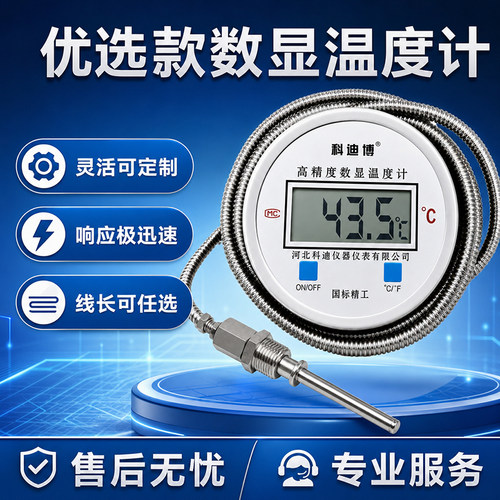 高精度水温计温度计工业用电子数显测温仪温度传感器带探头温度表
