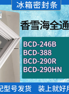 适用香雪海冰箱BCD-246B 388 290R 290HN门密封条胶条磁性密封圈