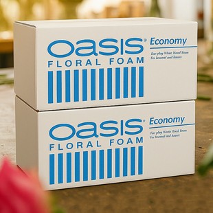 奥赛斯花泥oasis经济型花泥20块装 插花湿花泥鲜花泥插花DIY花艺师