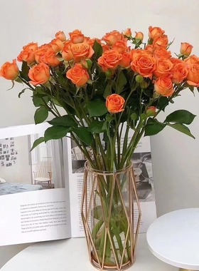 橙色多头泡泡玫瑰云南基地直发水养鲜花送亲友朋友情人节
