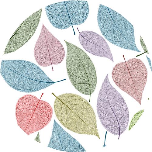 线形复古叶子树叶植物剪贴画插画插图png免扣ai矢量设计装饰素材