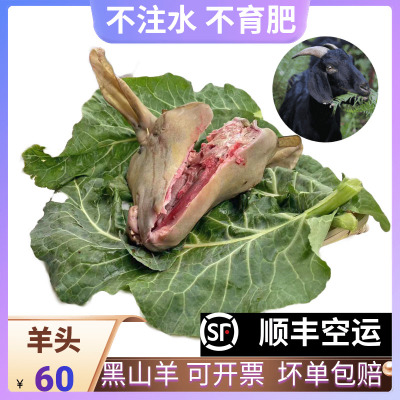 纯肉羊脸农家带皮黑山羊肉羊头