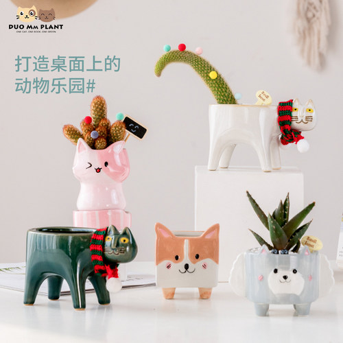 小动物植物盆栽价格 小动物植物盆栽图片 星期三