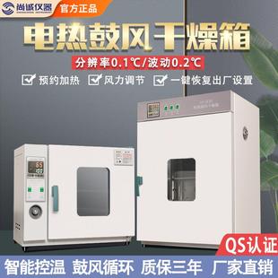 电热恒温鼓风干燥箱高温加热小型工业烤箱医用烘干机实验室烘箱