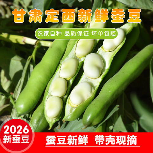 新鲜蚕豆嫩带壳现摘发货