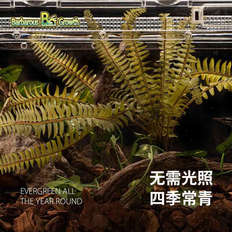 宠维奥爬宠饲养箱造景仿真植物热带沙漠生态雨林装饰鱼缸绿植
